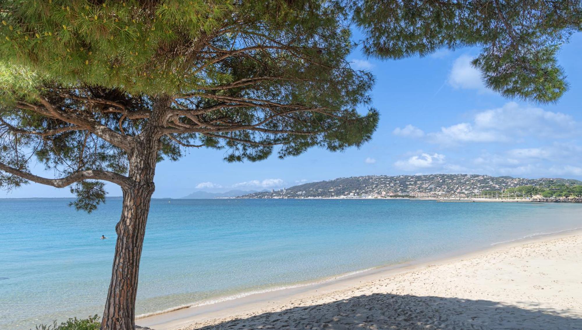Les 15 Pins & La Mer -Your Green Getaway Near Sea & Beach Антиб Екстериор снимка